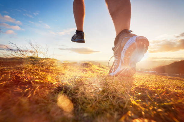Fuel Your Muscles the Smart Way: Why BCAAs Matter More Than You Think